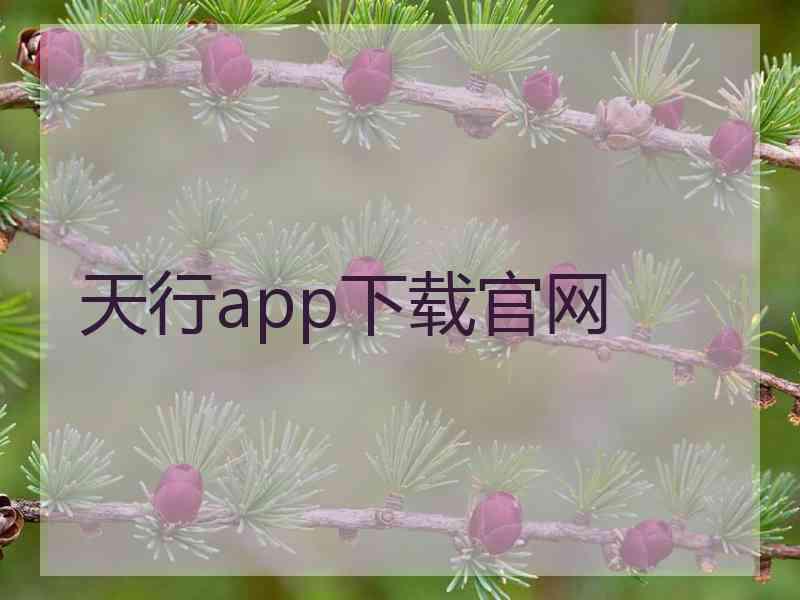 天行app下载官网