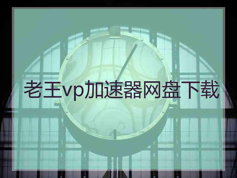 老王vp加速器网盘下载