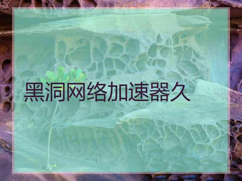 黑洞网络加速器久