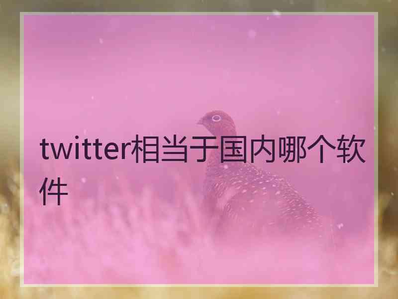 twitter相当于国内哪个软件