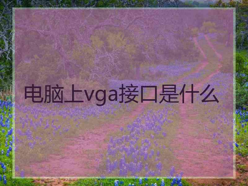 电脑上vga接口是什么