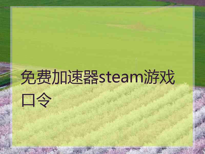 免费加速器steam游戏口令