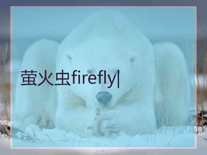 萤火虫firefly|