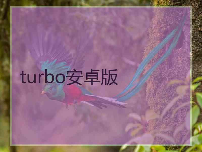 turbo安卓版