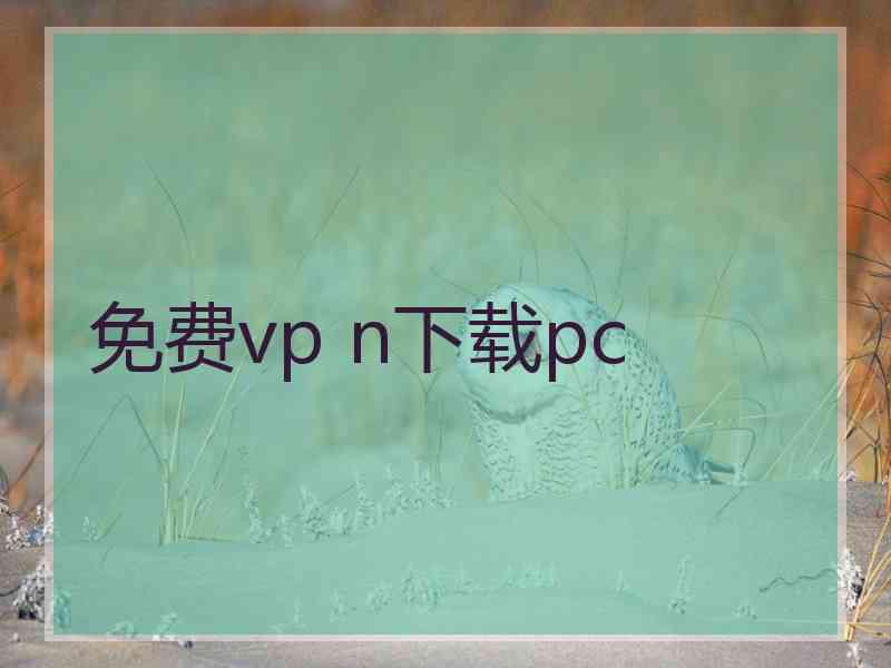 免费vp n下载pc