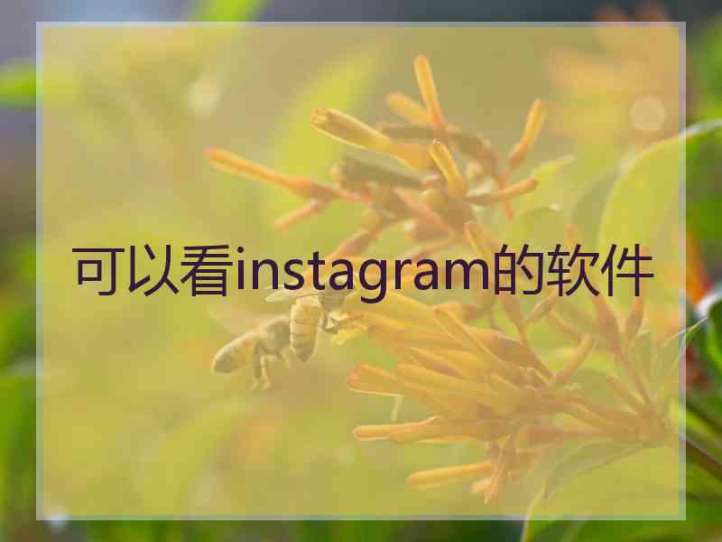 可以看instagram的软件