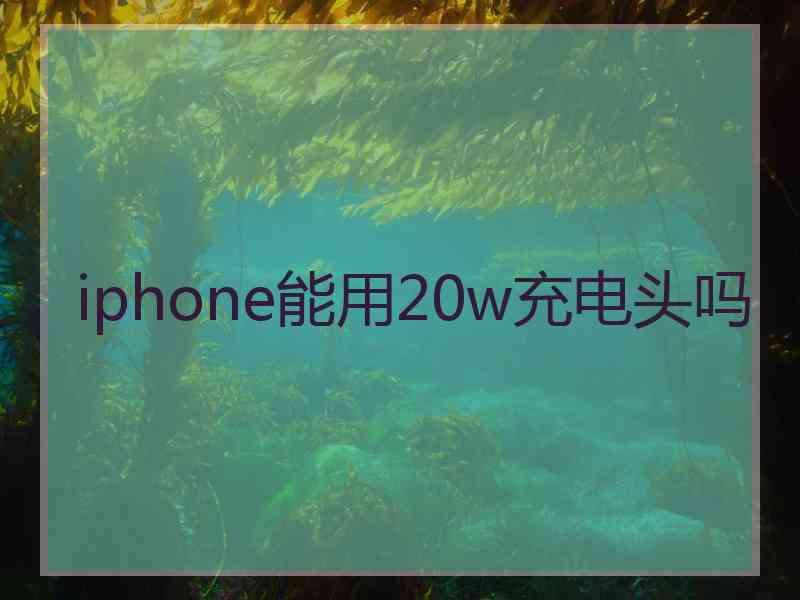 iphone能用20w充电头吗