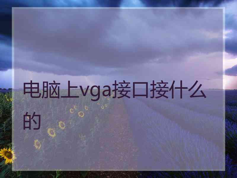 电脑上vga接口接什么的