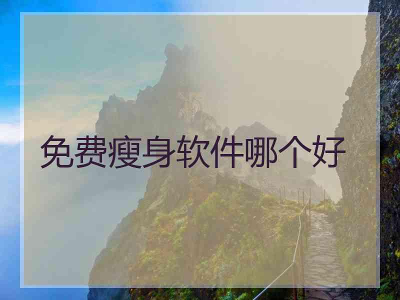 免费瘦身软件哪个好