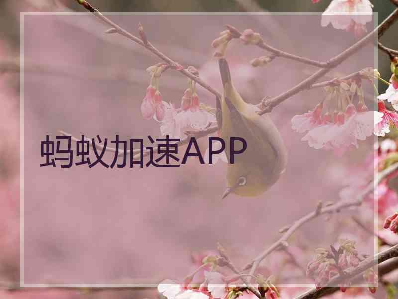 蚂蚁加速APP