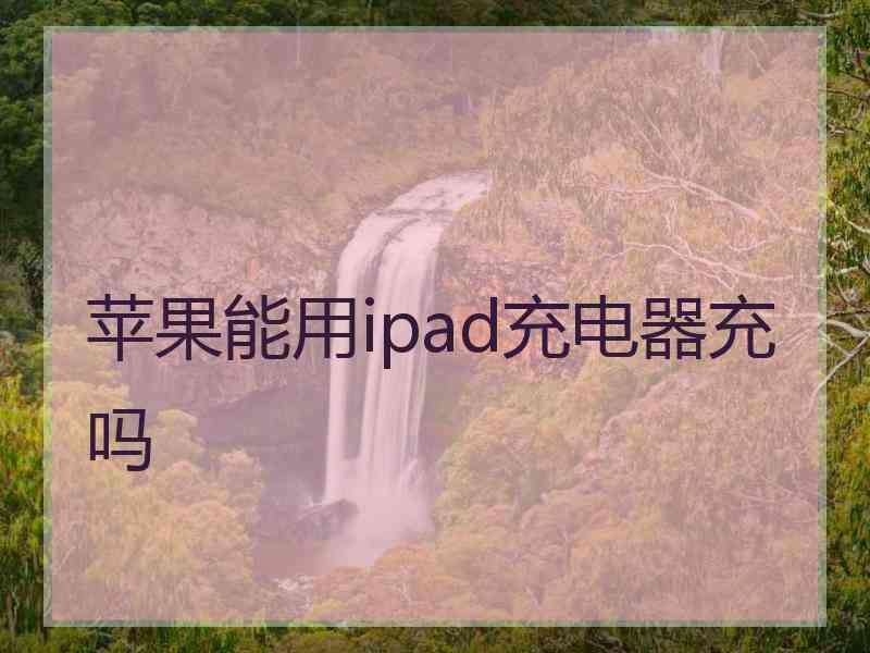 苹果能用ipad充电器充吗