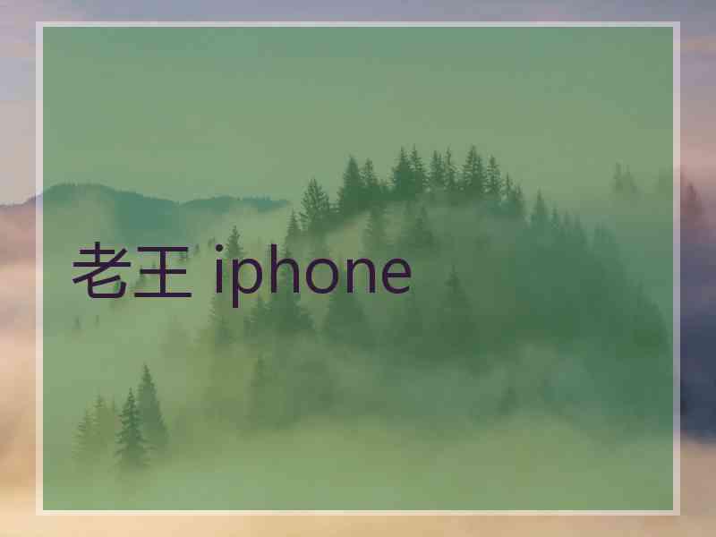 老王 iphone