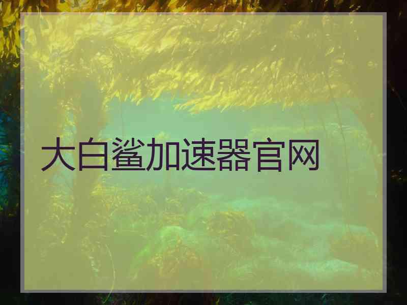 大白鲨加速器官网