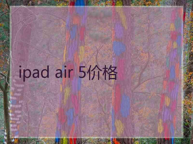 ipad air 5价格