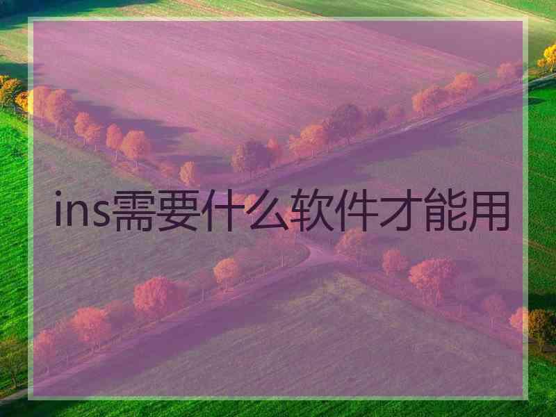 ins需要什么软件才能用