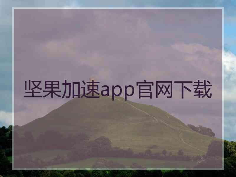 坚果加速app官网下载